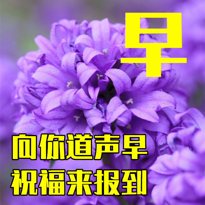 簡短早安暖心話短句_特別暖心的早安句子簡短_簡短暖句子早安心情短語