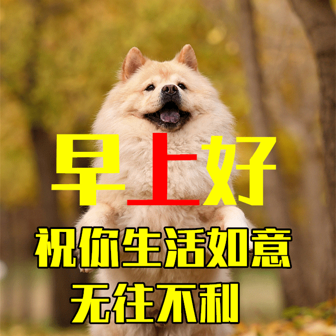 簡短暖句子早安心情短語_特別暖心的早安句子簡短_簡短早安暖心話短句