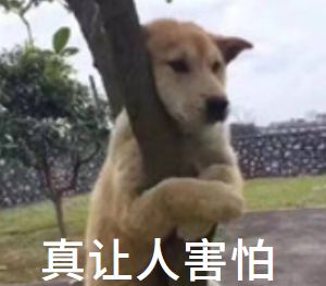 英語研究生考研科目有哪些_考研科目有英語嗎_英語考研科目有哪些科目