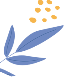 初二家長會家長代表發(fā)言稿 精品_家長會初二學生代表發(fā)言演講稿_初二家長發(fā)言稿800字