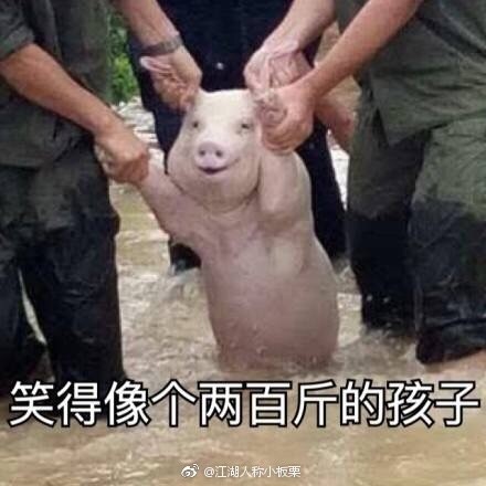 辭職后輕松的心情說說