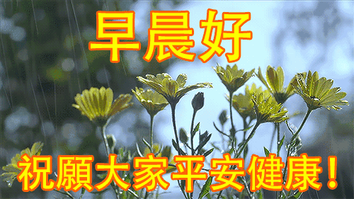 問候早安追語(yǔ)女孩子怎么說_追女孩子的早安問候語(yǔ)_問候早安追語(yǔ)女孩子的句子