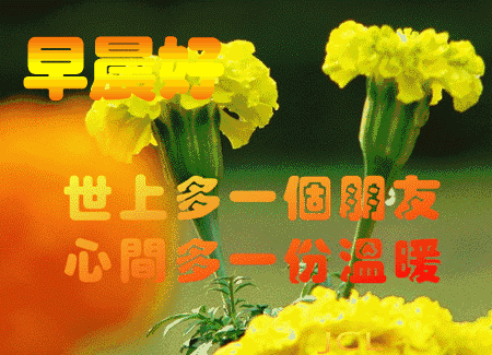 追女孩子的早安問候語(yǔ)_問候早安追語(yǔ)女孩子的句子_問候早安追語(yǔ)女孩子怎么說