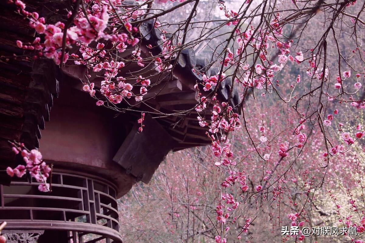 安息主懷對(duì)聯(lián)_主懷安息與安息主懷有何區(qū)別_安息主懷中