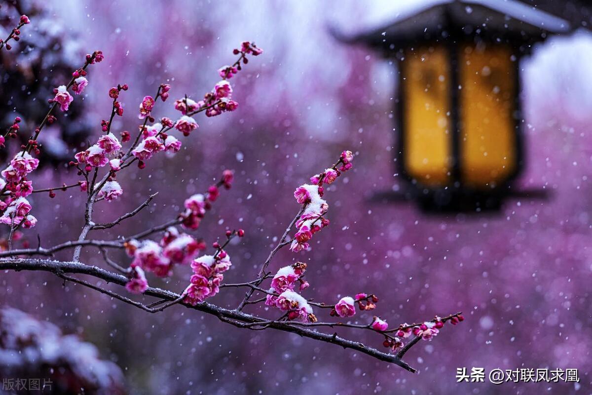 安息主懷對(duì)聯(lián)_主懷安息與安息主懷有何區(qū)別_安息主懷中