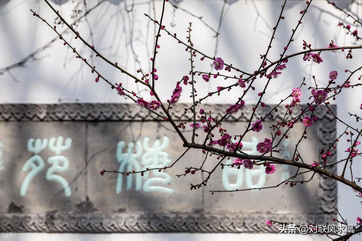 主懷安息與安息主懷有何區(qū)別_安息主懷中_安息主懷對(duì)聯(lián)