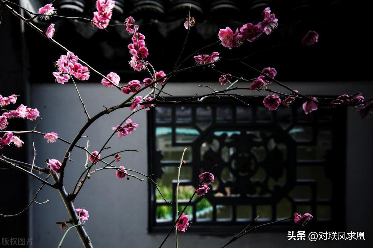 安息主懷對(duì)聯(lián)_主懷安息與安息主懷有何區(qū)別_安息主懷中