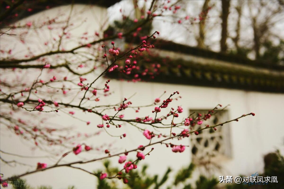 安息主懷中_主懷安息與安息主懷有何區(qū)別_安息主懷對(duì)聯(lián)