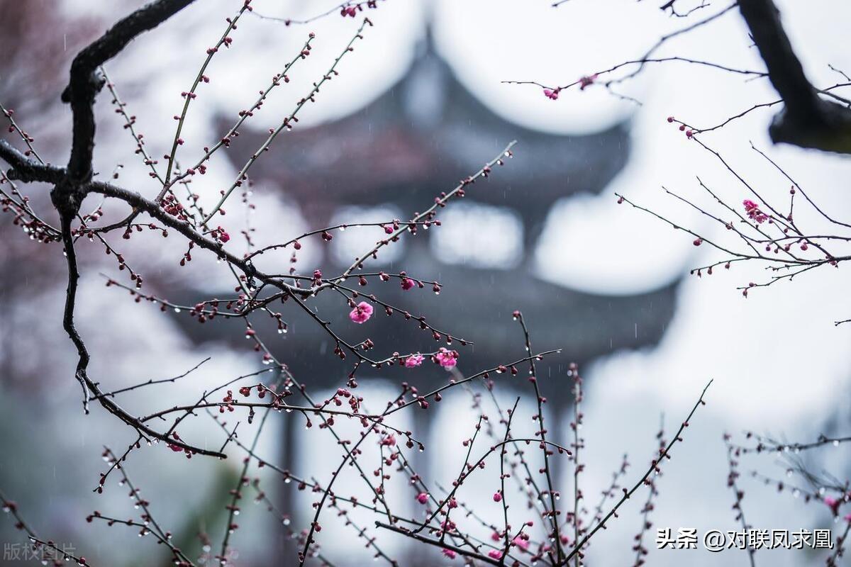 主懷安息與安息主懷有何區(qū)別_安息主懷對(duì)聯(lián)_安息主懷中