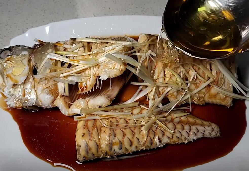 觀賞魚的龍魚價格是多少_觀賞魚龍魚價格_魚觀賞龍價格是多少