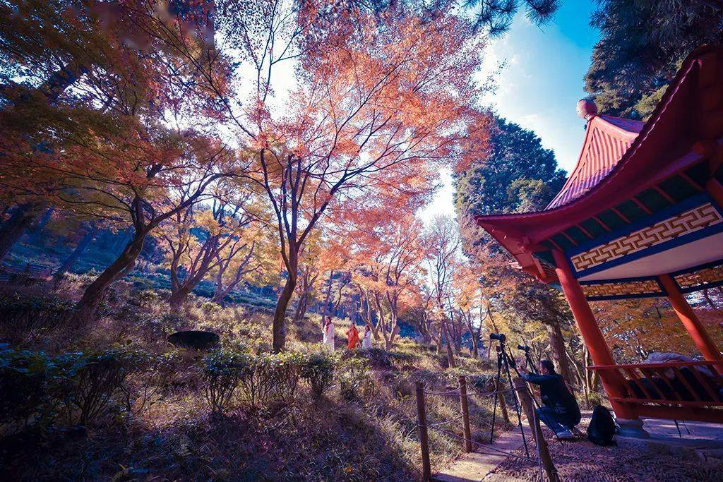 廬山秋季旅游攻略_廬山旅游最佳季節_廬山秋天有什么美景