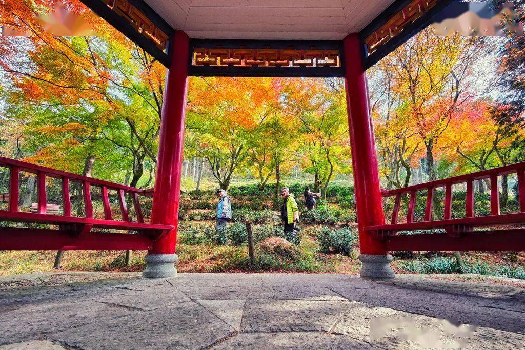 廬山秋天有什么美景_廬山旅游最佳季節_廬山秋季旅游攻略