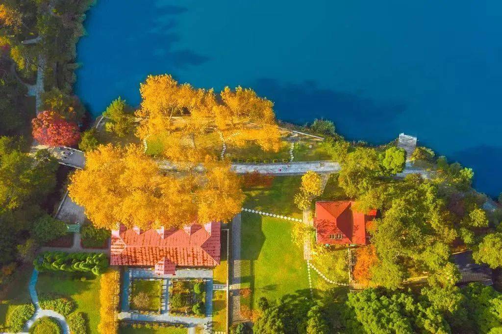 廬山秋季旅游攻略_廬山秋天有什么美景_廬山旅游最佳季節