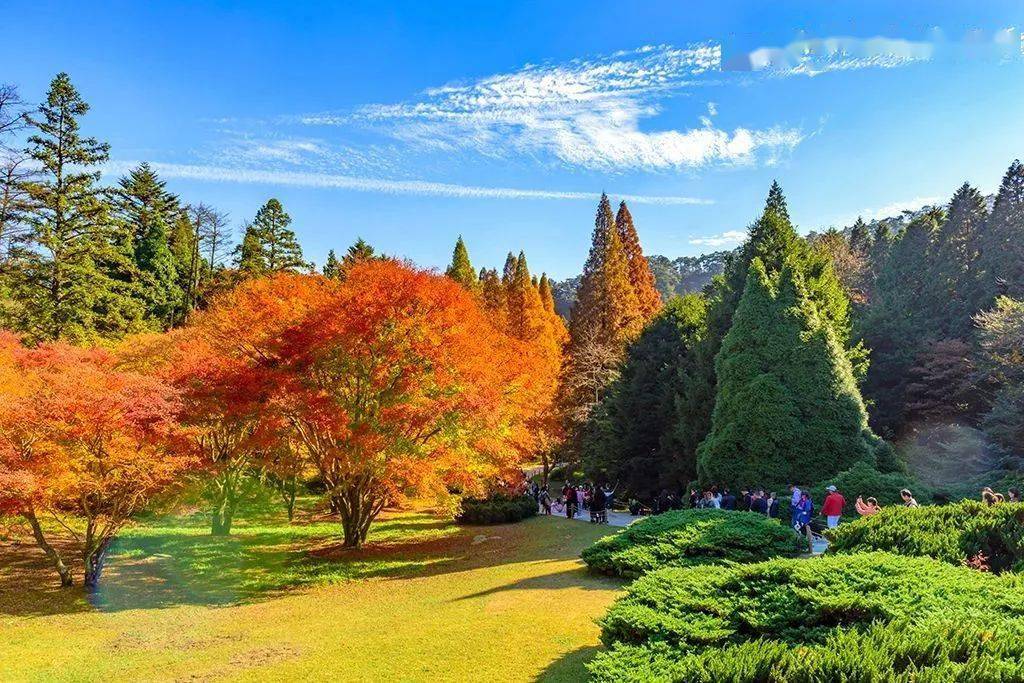 廬山秋天有什么美景_廬山旅游最佳季節_廬山秋季旅游攻略