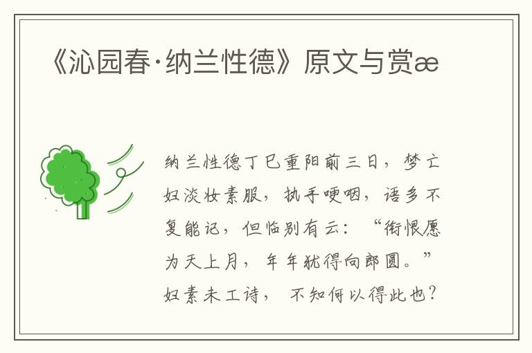 《沁園春·納蘭性德》原文與賞析