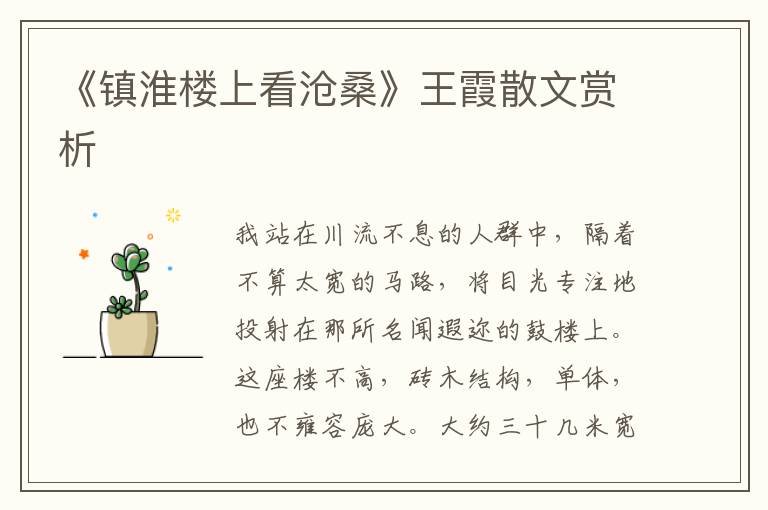 《鎮淮樓上看滄桑》王霞散文賞析