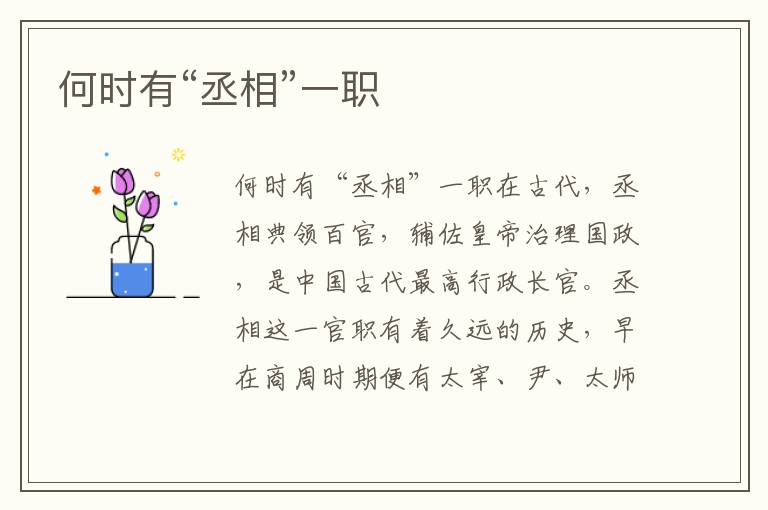 何時(shí)有“丞相”一職