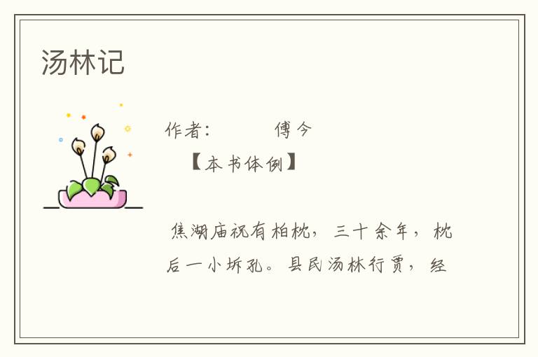 湯林記