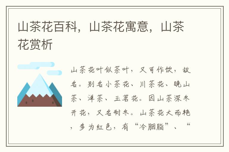 山茶花百科，山茶花寓意，山茶花賞析