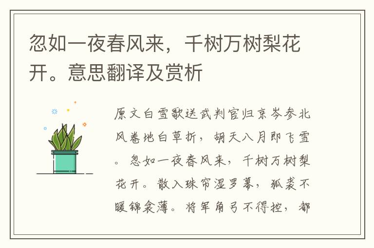 忽如一夜春風來，千樹萬樹梨花開。意思翻譯及賞析