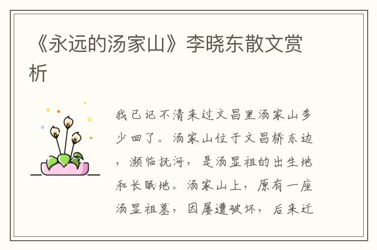 《永遠的湯家山》李曉東散文賞析