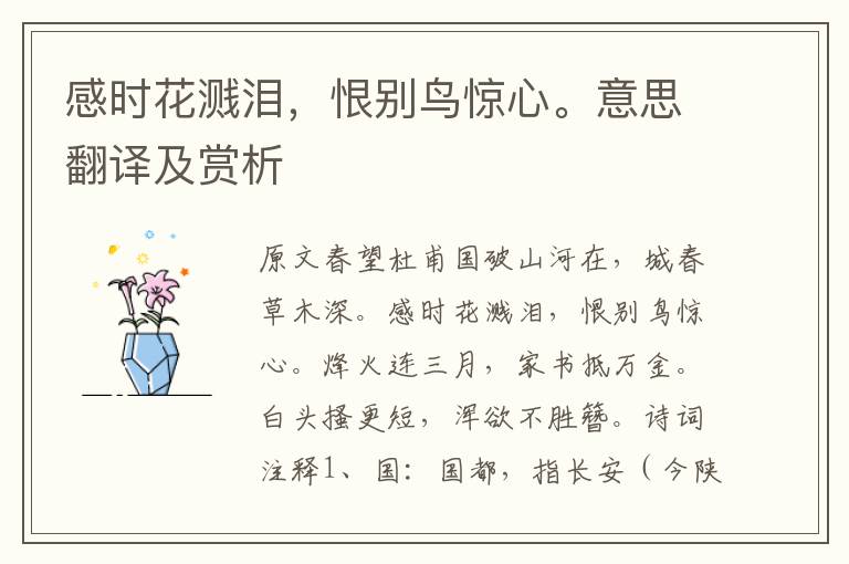 感時(shí)花濺淚，恨別鳥驚心。意思翻譯及賞析