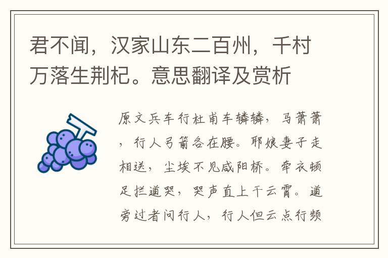君不聞，漢家山東二百州，千村萬落生荊杞。意思翻譯及賞析