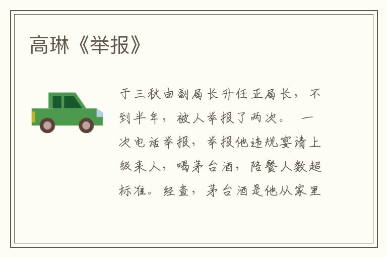 高琳《舉報》