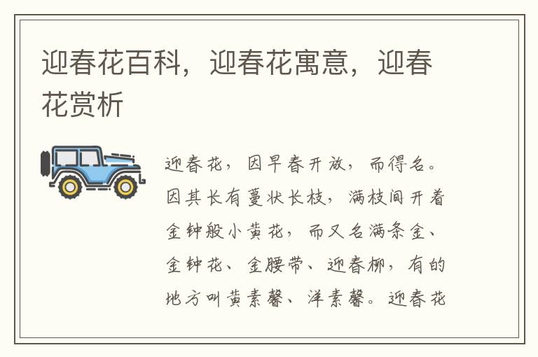 迎春花百科，迎春花寓意，迎春花賞析