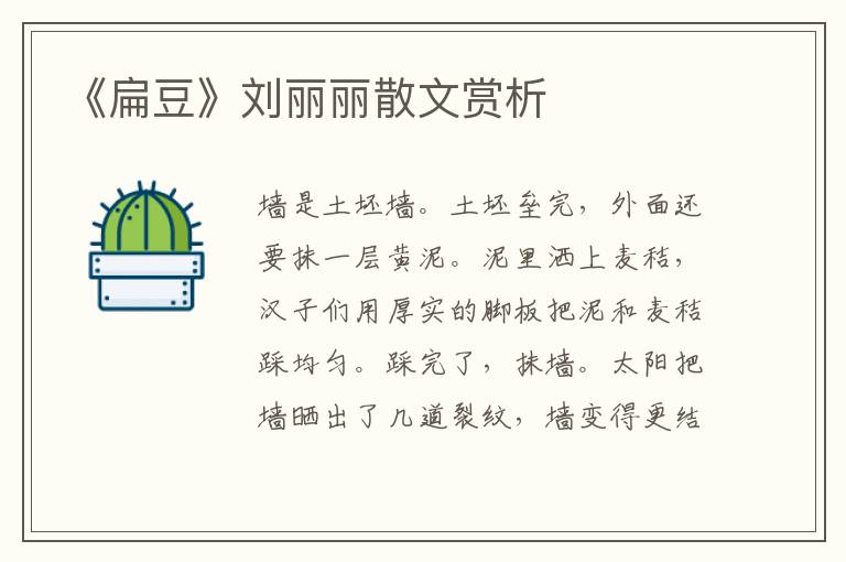 《扁豆》劉麗麗散文賞析