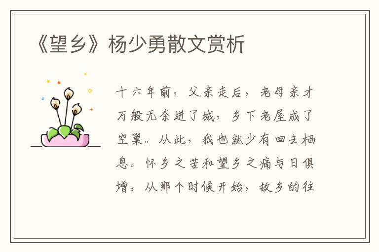 《望鄉》楊少勇散文賞析
