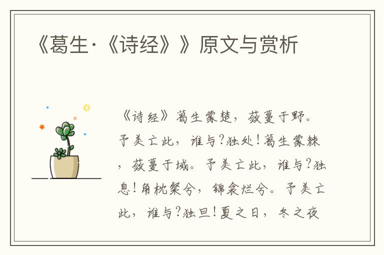《葛生·《詩經(jīng)》》原文與賞析