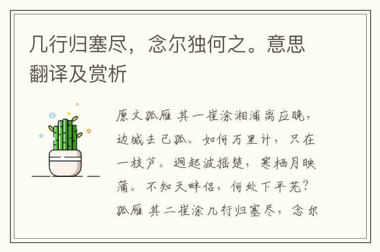 幾行歸塞盡，念爾獨何之。意思翻譯及賞析