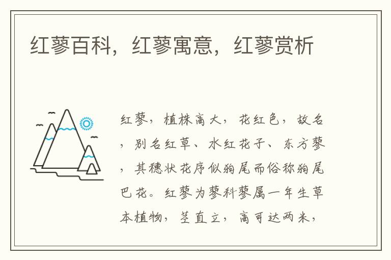 紅蓼百科，紅蓼寓意，紅蓼賞析