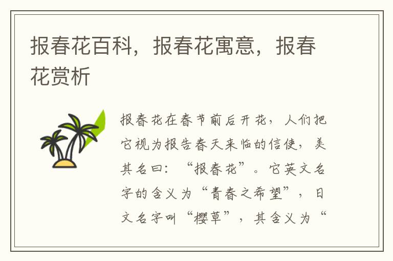 報春花百科，報春花寓意，報春花賞析