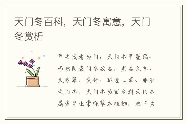 天門冬百科，天門冬寓意，天門冬賞析