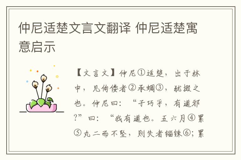 仲尼適楚文言文翻譯 仲尼適楚寓意啟示