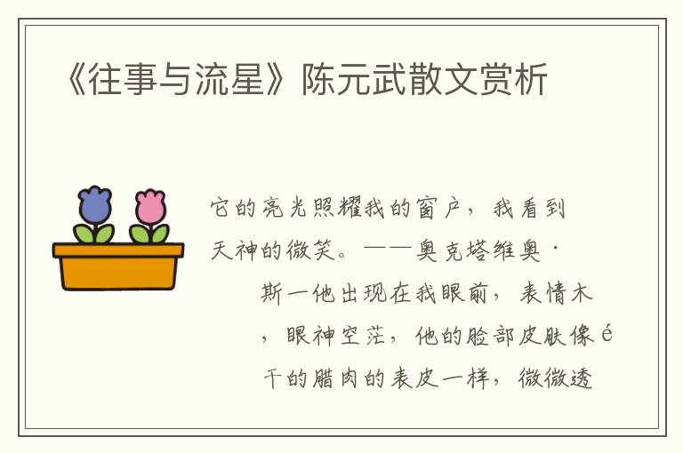 《往事與流星》陳元武散文賞析