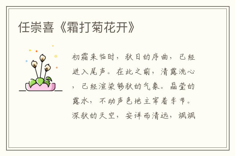 任崇喜《霜打菊花開》