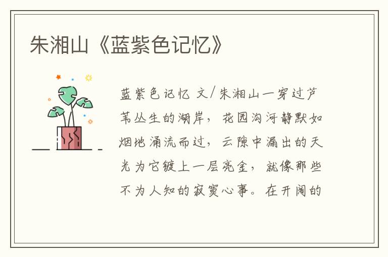 朱湘山《藍(lán)紫色記憶》