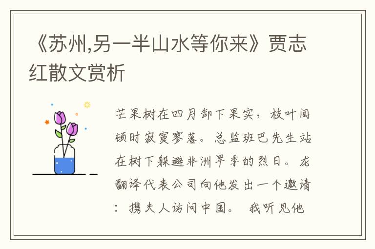 《蘇州,另一半山水等你來》賈志紅散文賞析