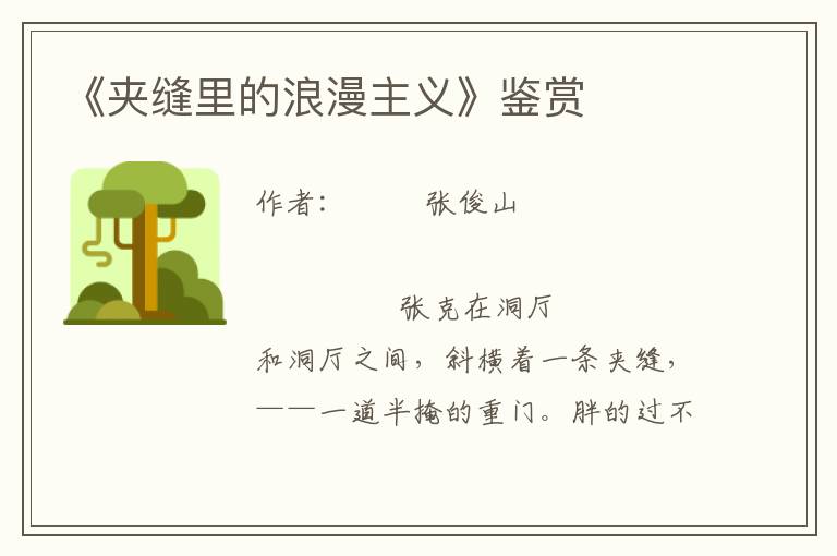 《夾縫里的浪漫主義》鑒賞