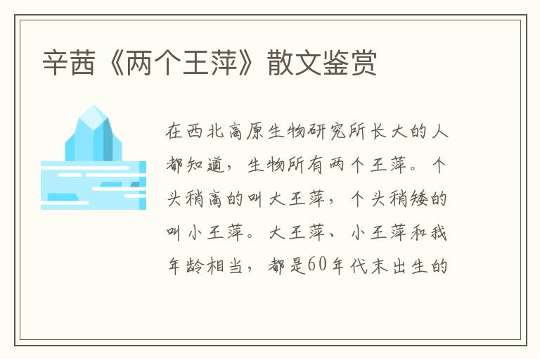 辛茜《兩個王萍》散文鑒賞