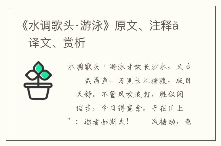 《水調(diào)歌頭·游泳》原文、注釋、譯文、賞析