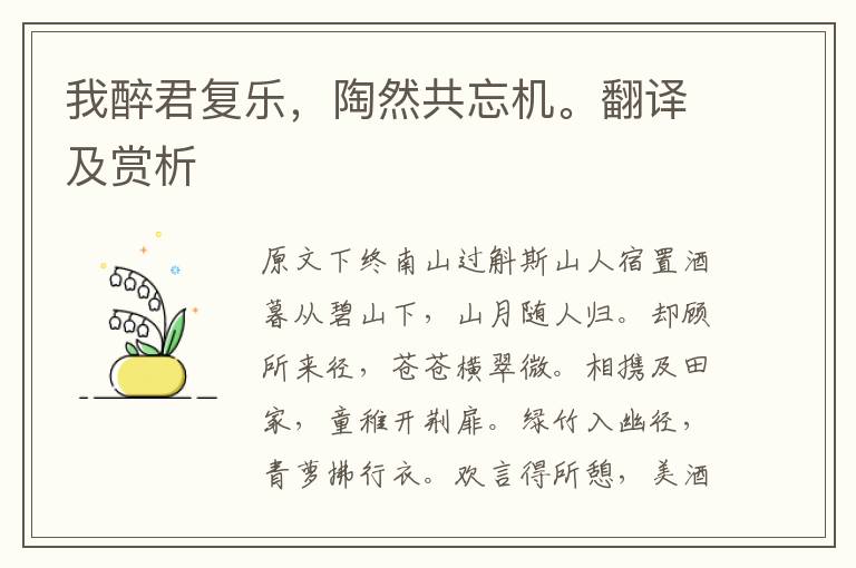 我醉君復樂，陶然共忘機。翻譯及賞析