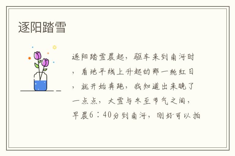 逐陽踏雪