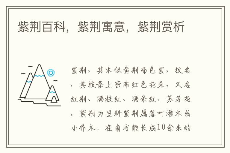 紫荊百科，紫荊寓意，紫荊賞析