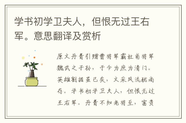 學書初學衛夫人，但恨無過王右軍。意思翻譯及賞析