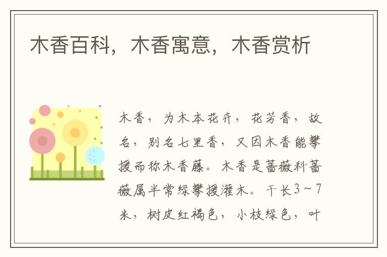 木香百科，木香寓意，木香賞析