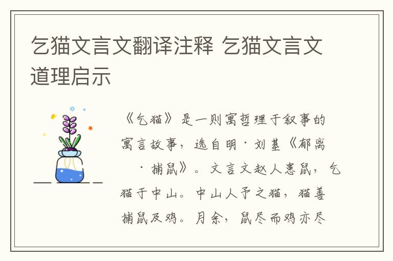 乞貓文言文翻譯注釋 乞貓文言文道理啟示
